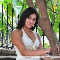 Haripriya New Photo Shoot - Pictures | Picture 115627